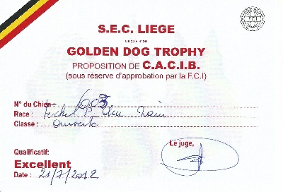 de L'Abbaye Sainte-Marie - Golden Dog Trophy