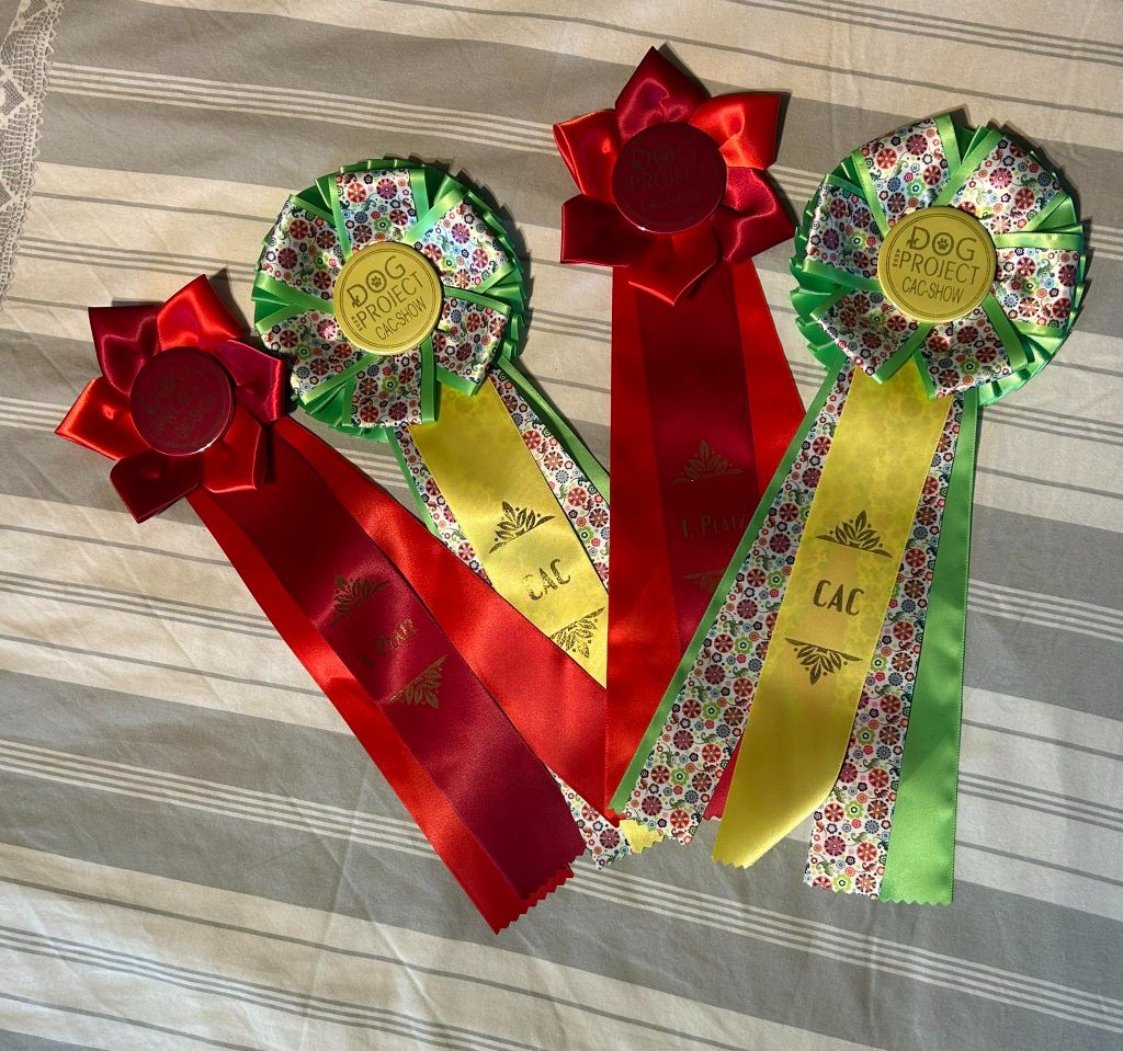 Dog Show Project du 18/05/2025 